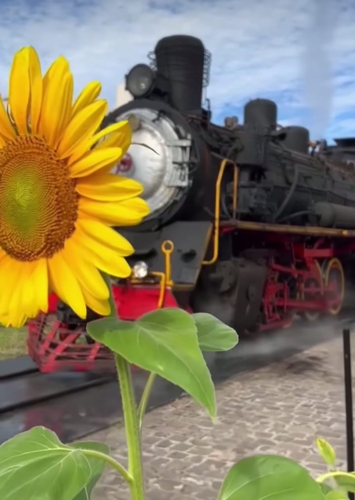 Grupo FN Diniz - Viagens e Passeios Canoas (23).jpeg