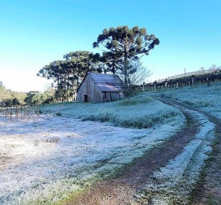 Grupo FN Diniz - Viagens e Passeios Canoas (9).jpeg