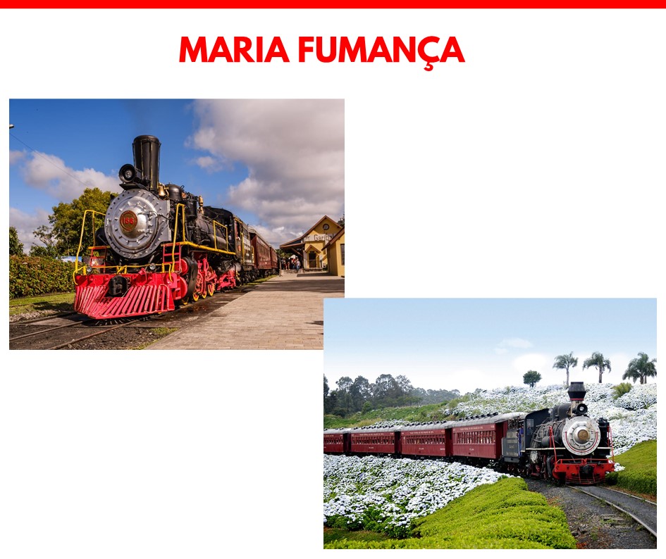 Grupo FN Diniz - Viagens e Passeios Canoas (10).JPG