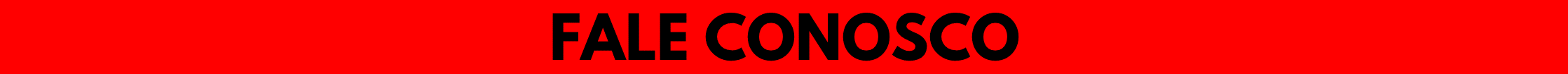 Grupo FN Diniz - Viagens e Passeios Canoas.png