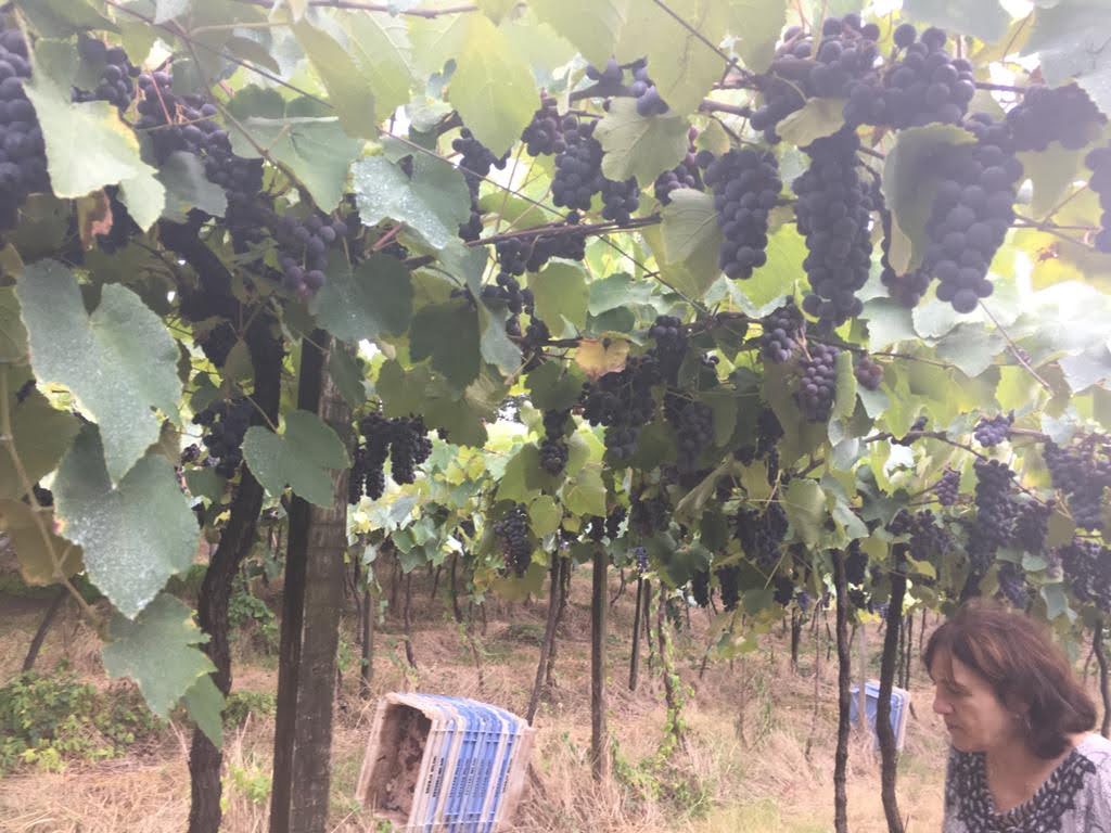 Grupo FN Diniz - Viagens e Passeios Canoas (40).jpeg