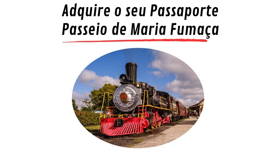 Grupo FN Diniz - Viagens e Passeios Canoas (13).jpg