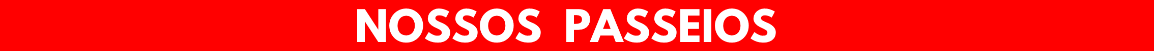 Grupo FN Diniz - Viagens e Passeios Canoas (7).png